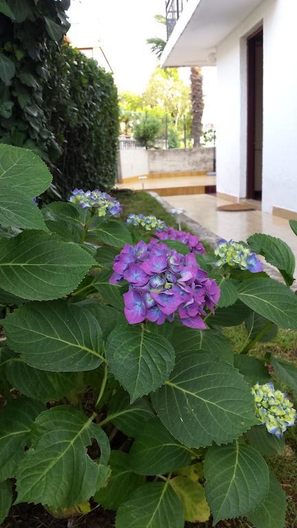 Apartments Boglic أوماغ الغرفة الصورة