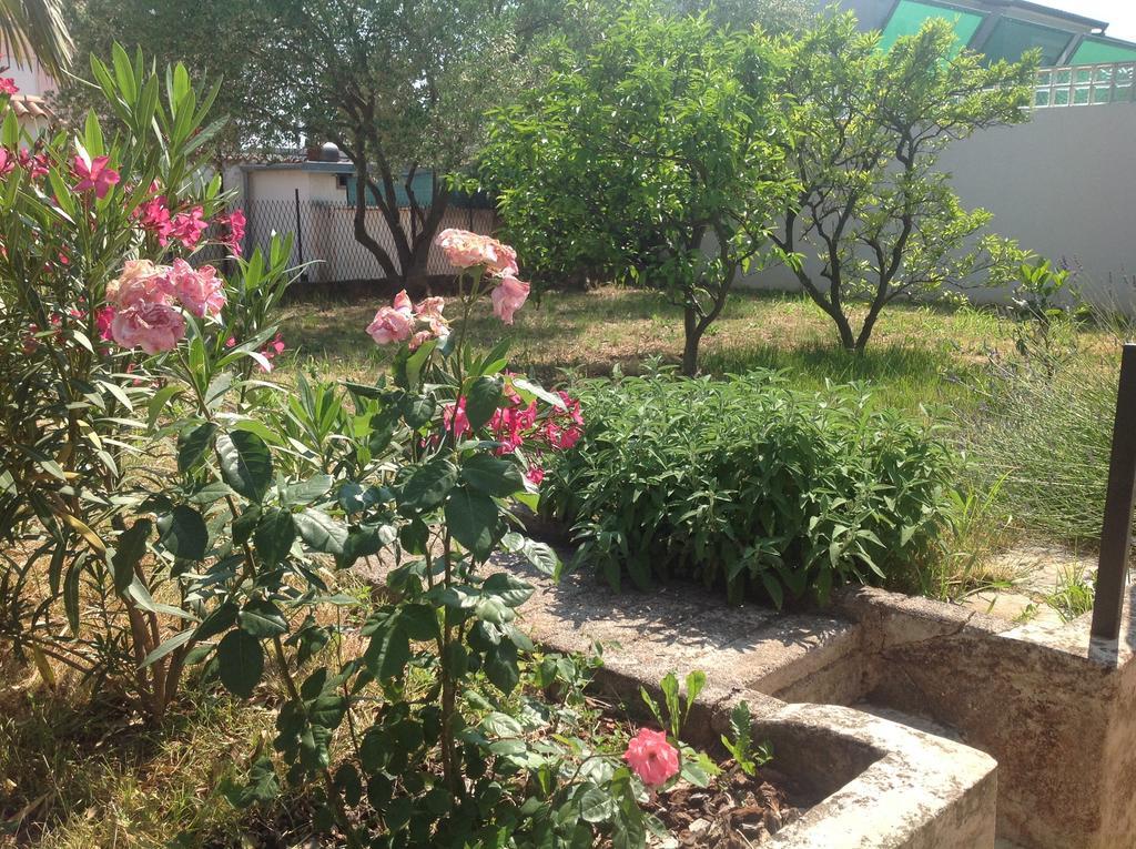 Apartments Boglic أوماغ المظهر الخارجي الصورة